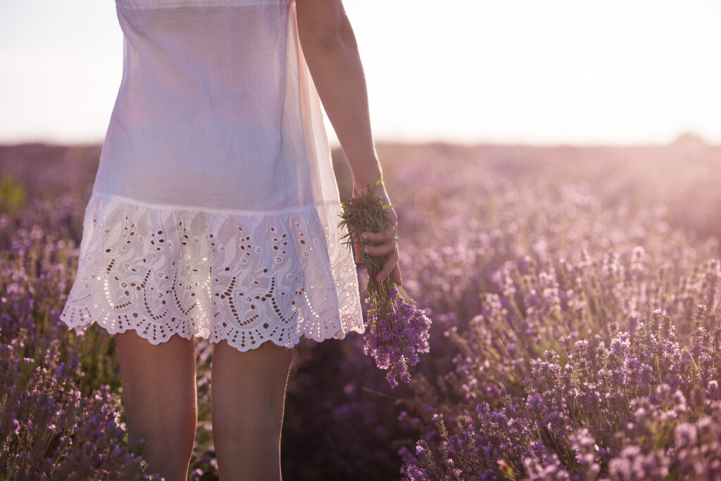 gathering-a-bouquet-of-lavender-girl-in-white-dre-2023-11-27