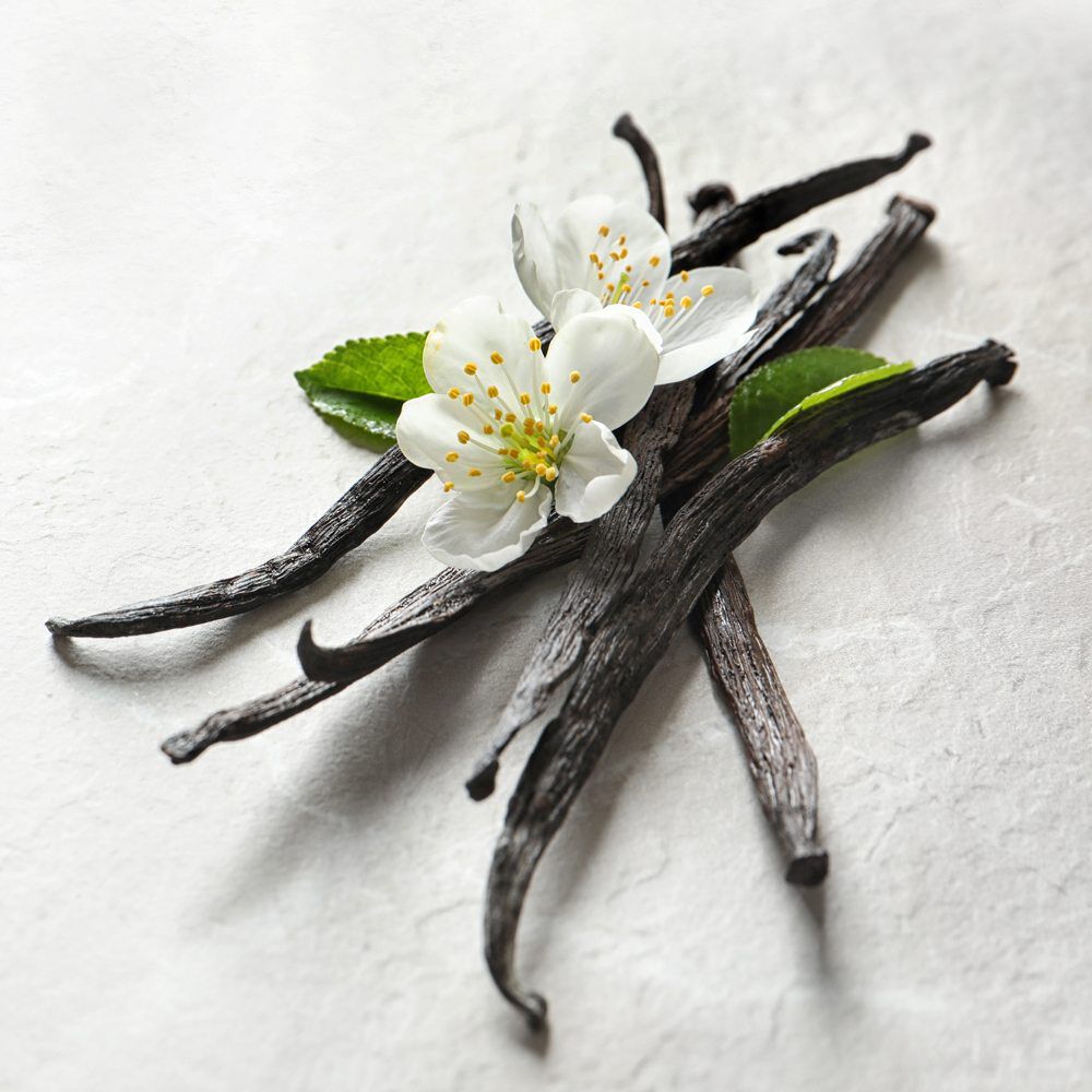 The vanilla flower that Blossom uses to produce its products