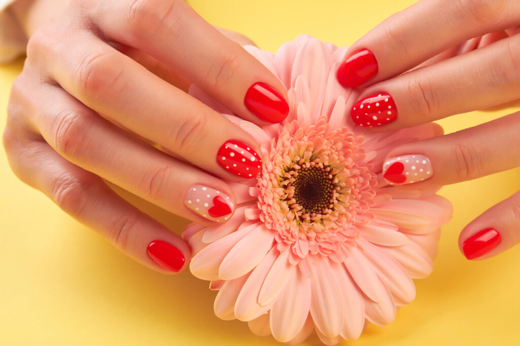 Female manicured hands and peach gerbera. Woman well-groomed hands holding peach color gerbera on yellow background. Skin and nails care.