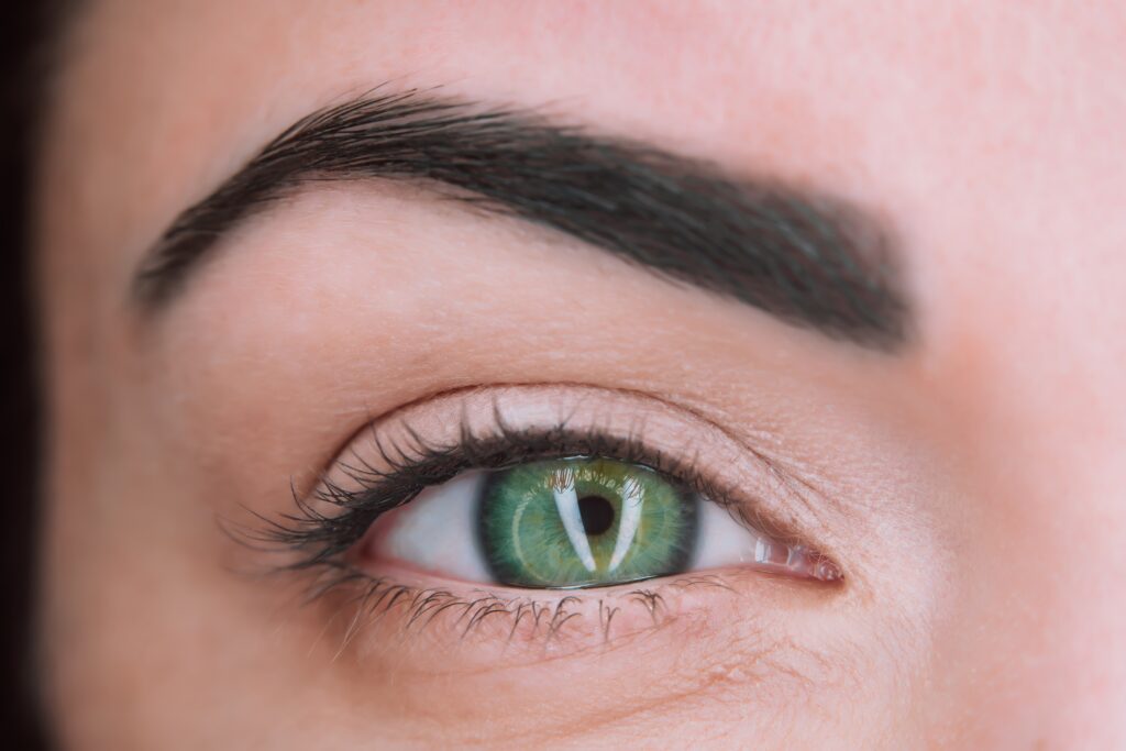 Female green eye close up extreme macro, iris contracts. Wide open human eye of woman. High quality photo. 