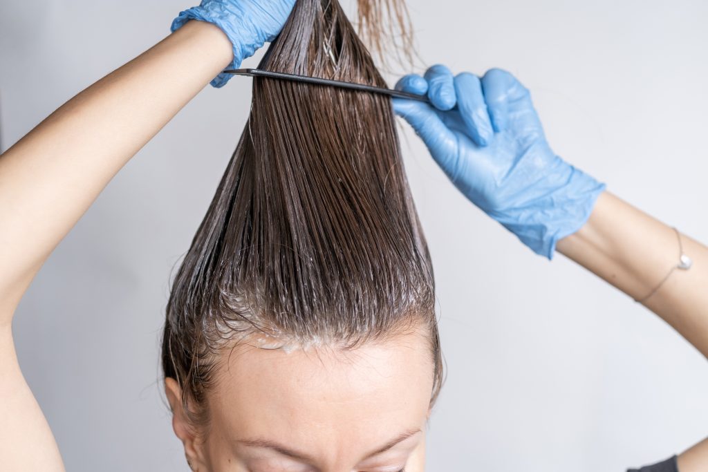 Close-up of a woman's head in the process of hair coloring on a white background. Closeup woman hands dyeing hair using a brush. Coloring of white hair at home.