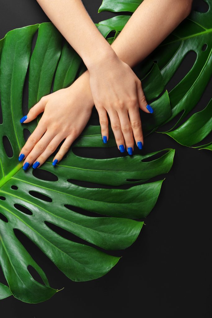 Female hand with classic blue color nails manicure on Monstera leaf. Creative photo. 2025 nails.