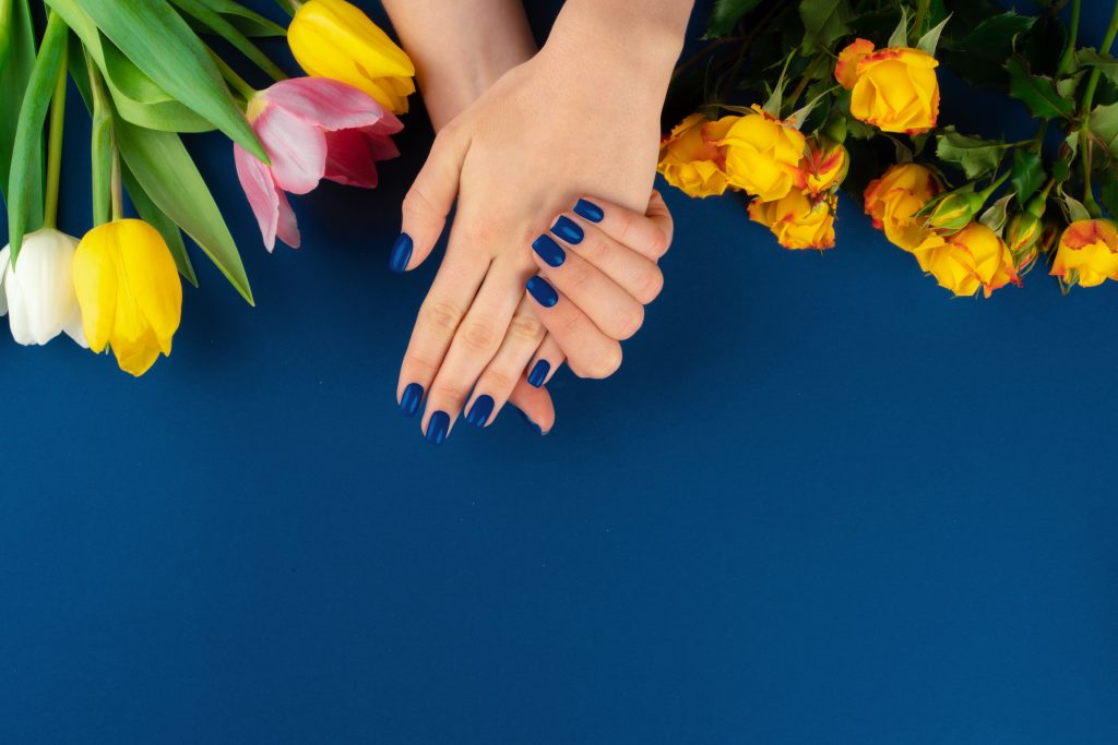 Woman hands with manicure holding colorful tulips on blue background