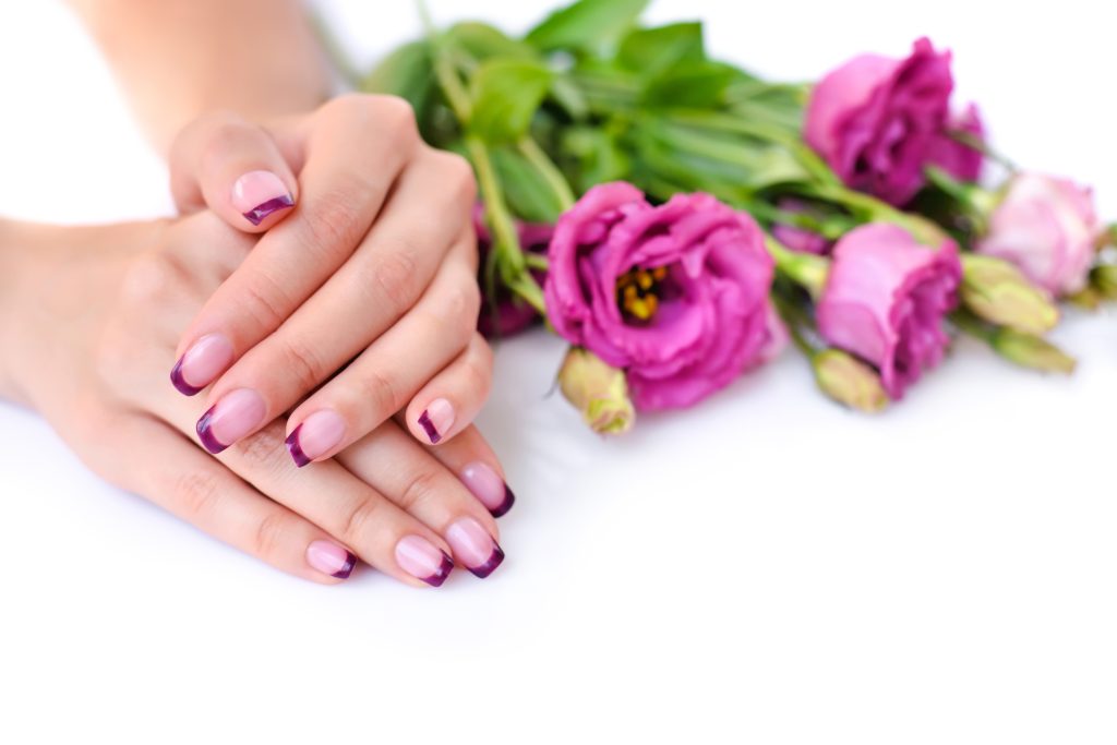 Hands of a woman with pink french manicure and flowers eustoma on a white background