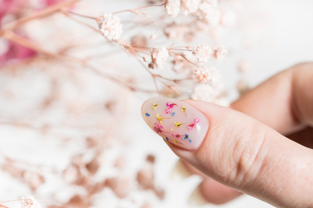 Spring manicure of women's hands with white gel polish and dried flower design. Female hands and dried gypsophila flowers bleached on a white background.