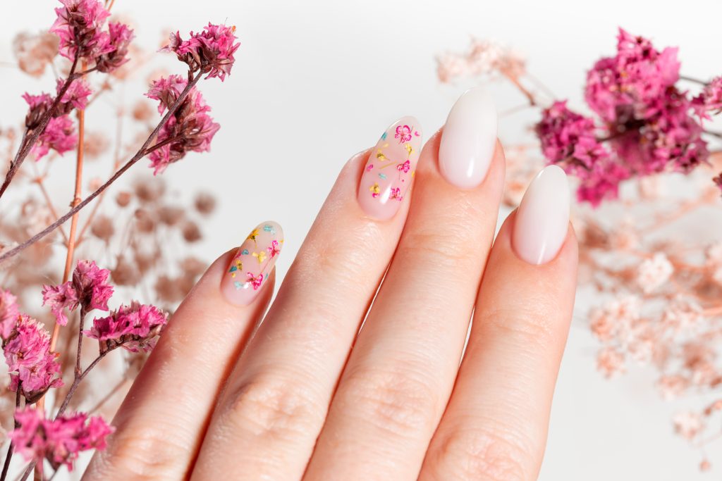 Spring manicure of woman hands with white gel polish and dried flower design. Female hands and dried gypsophila flowers bleached on a white background.