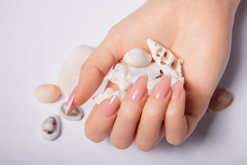 Elegant French manicure polygel nail shapes 2026 for a natural aesthetic and timeless beauty.
