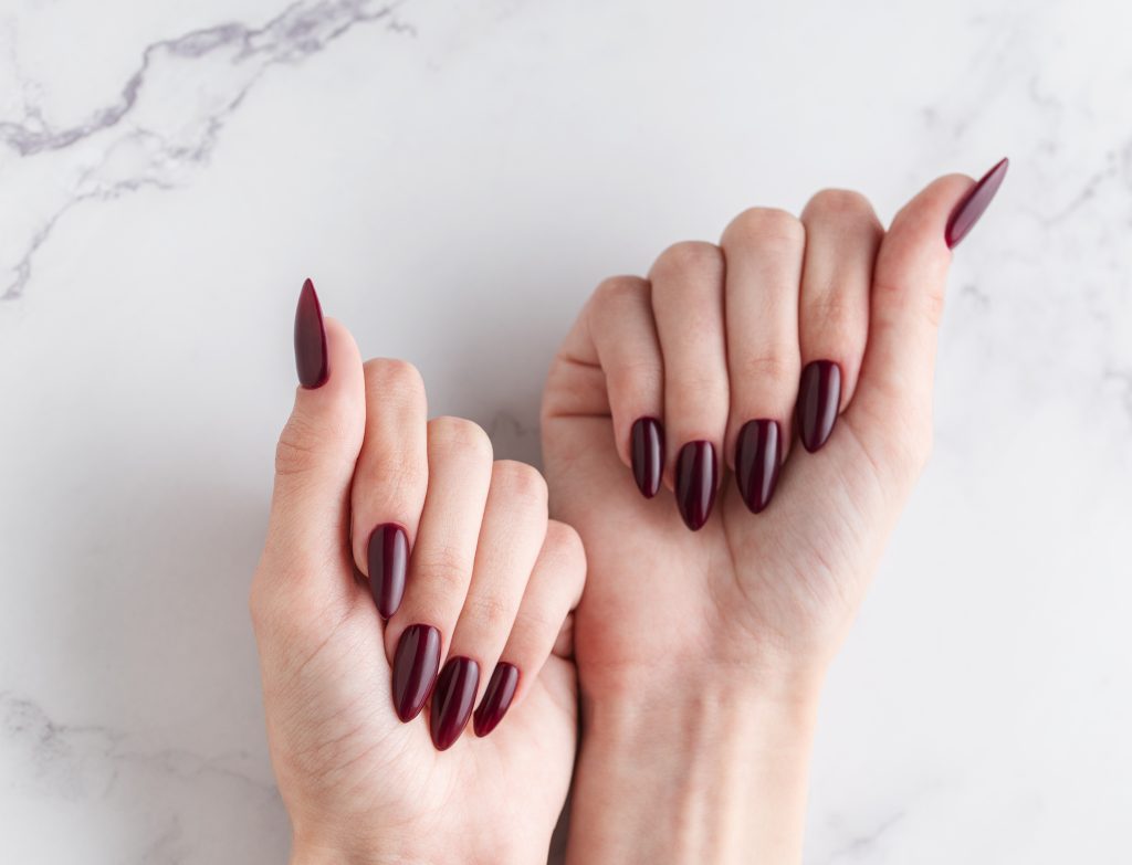 Beautiful hands of a young woman with dark red manicure on nails.